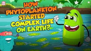 How Phytoplankton Started Complex Life On Earth  Plankton  The Dr Binocs Show  Peekaboo Kidz [upl. by Lynnea]