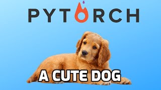 How to build custom Datasets for Text in Pytorch [upl. by O'Neill727]