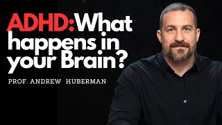 The science Behind a brain with ADHD Prof Andrew Huberman [upl. by Nelac]