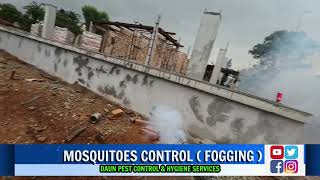 FOGGING MOSQUITOES  DAUN PEST CONTROL SERVICES daunpestcontrol fogging ulvmisting [upl. by Alac279]