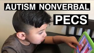 Autism Nonverbal  Communication Device [upl. by Vite]