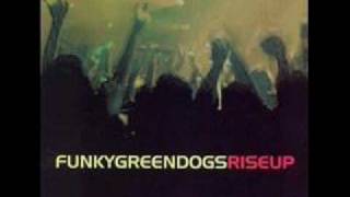 Funky Green Dogs Rise Up Rosabel Unreleased Mix [upl. by Lubbock]