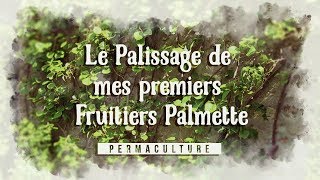 Le Palissage de mes Premiers Fruitiers Palmette 🍎🍐 [upl. by Aleksandr]