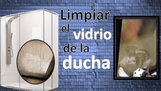 Cómo limpiar los vidrios del baño cuando tienen sarro [upl. by Inihor]