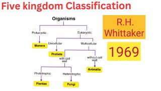 five kingdom classification of RHWhittaker [upl. by Haidebej]