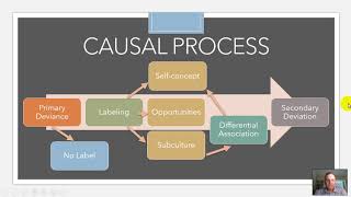 Labeling Theory [upl. by Oigres]