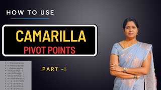 Camarilla Pivot Points for Beginners  Part  I   NIFTY amp BANKNIFTY [upl. by Aimik]