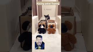 KUCING PAKAI TOPENG ‼️⁉️ [upl. by Neelhtac522]