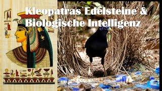 Kleopatras Edelsteine amp Biologische Intelligenz [upl. by Hollenbeck]