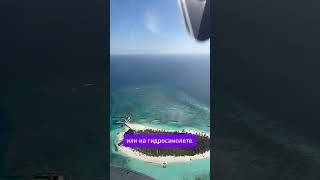 travel flydubai kuredu путешествия male maldives [upl. by Halik407]