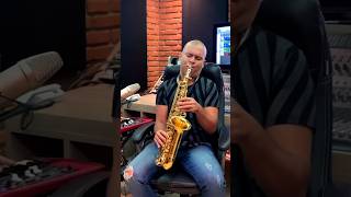 Nunca pare de lutar  Ludmila Ferber Diego marinho sax cover [upl. by Reina485]