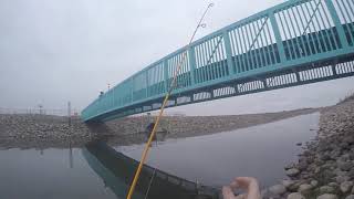 Fishing Chronicles Chestermere lake [upl. by Shayla]