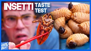 Mangiamo gli INSETTI  Taste Test  5 Anni Dopo [upl. by Netsriik]