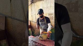 OMG Will You Cut This Fish From Your Home Knife [upl. by Cila]