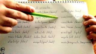 Aprende NORDICO ANTIGUO Vocabulario palabras y nombres de animales II [upl. by Analak557]