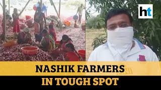 ‘Think we’ll die of hunger’ Nashik farmers unable to sell onions at fair prices [upl. by Truda]