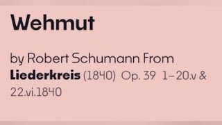 Wehmut by Robert Schumann From Liederkreis 1840 Op 39 1–20v amp 22vi1840 [upl. by Eohce]