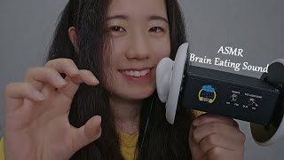 ASMR Brain Eating 🧠 Ear Blowing Breath Sounds 3dio No Talking 1 Hr [upl. by Schluter]