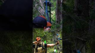 Total archery challenge full video just dropped archery 3darchery totalarcherychallenge [upl. by Misty]