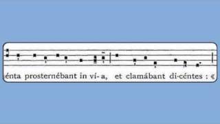 Pueri Hebraeorum Palm Sunday Antiphon [upl. by Vial203]