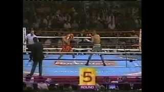 Roy Jones Jr vs Vinny Pazienza 2461995  IBF World Super Middleweight Championship [upl. by Sorcha]