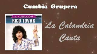 La Calandria Canta  Rigo Tovar • Cumbia Grupera • Cumbias Sólo Cumbias [upl. by Yedok]