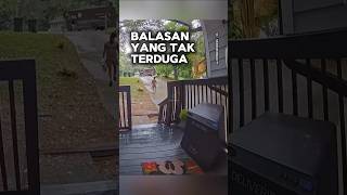 Balasan yang tak terduga shortvideo [upl. by Ainar]