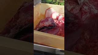 From Pork Loin to Pork Cutting in Minutes shorts youtubeshorts tamilshorts [upl. by Gnues]