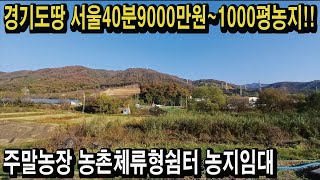 경기도땅 서울40분 1000평농지 9000만원 접근선 교통편 귀농귀촌 주말영농체험 텃밭 주말농장 농촌체류형쉼터 전원주택 농지연금 농지임대 스마트팜 경매땅공매땅 [upl. by Noeled]