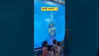 Real Jalpari  असली जलपरी🧜‍♀️  Jalpari video raigarh [upl. by Nievelt]