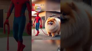 Spiderman gifting a Giant Pomeranian to Supergirl ❤️ brawlstars spiderman marvel dccomics [upl. by Friedland]