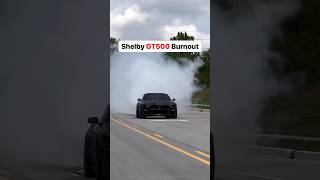 Whipple Shelby GT500 Burnout [upl. by Tierell]