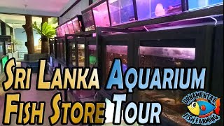 Aquarium Sri Lanka Aquarium Fish Store Tour aquarium shop fish tanks [upl. by Ereveneug187]