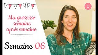 6ème semaine de grossesse – L’alimentation [upl. by Nelak]