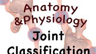 Joints and Articulations  Classification Structure 0806 [upl. by Cuthbert]