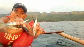 Catching matambaka fish in deep blue seano more matambaka fish on this spotfishinglikeshare [upl. by Allicserp]