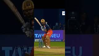 king 👑 Virat Kohli square cut shot cricketbatting shortviraltrending [upl. by Brok]