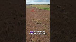 Fazenda à venda em Campina Verde com 152 alqueires mineiros  Triangulo Mineiro  MG [upl. by Schmeltzer]