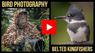 BIRD PHOTOGRAPHY  PHOTOGRAPHING BELTED KINGFISHERS IN BC Behind the Shot Video 2019 [upl. by Atik465]