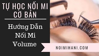 Dạy Học Cách Nối Mi Volume Cơ Bản  Video Trọn Bộ Full [upl. by Fu]