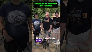 Suburban K9 Dog Training in Houston [upl. by Oemac]