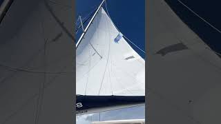 Single reefed main No headsail 20 knots wind 9 knots sog With Harrison Bell catamaransailing [upl. by Oirtemed]