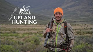 Greywing Partridge Hunting in South Africa Over Pointers  صيد الحجل في جنوب أفريقيا [upl. by Aelgna]