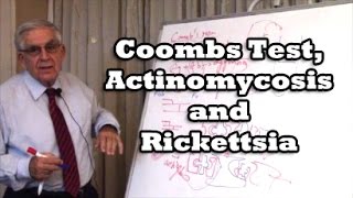 Coombs Test Actinomycosis and Rickettsia [upl. by Illak]