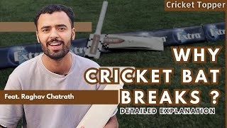 Why Cricket Bat Breaks  Detailed Explanation  Cricket Topper cricket [upl. by Rizika]