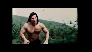 Bolo Yeung and Sammo Hung Fight Scene [upl. by Borg860]