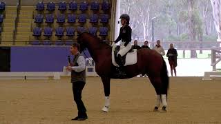 Sydney CDI Masterclass  4yo Young Horse  Belinda Davies [upl. by Ailee]