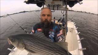 How to catch MORE STRIPED BASS Cool Tips for BIGGER STRIPERS SimradAccurateTeam Old School [upl. by Nathanoj350]