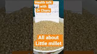 लीटील मिलेट ची सगळी माहिती मराठी मधे  little millet in marathi [upl. by Yelekreb960]