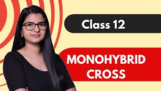 Class 12  Monohybrid Cross  HINDI  Under 6 mins [upl. by Siramad]